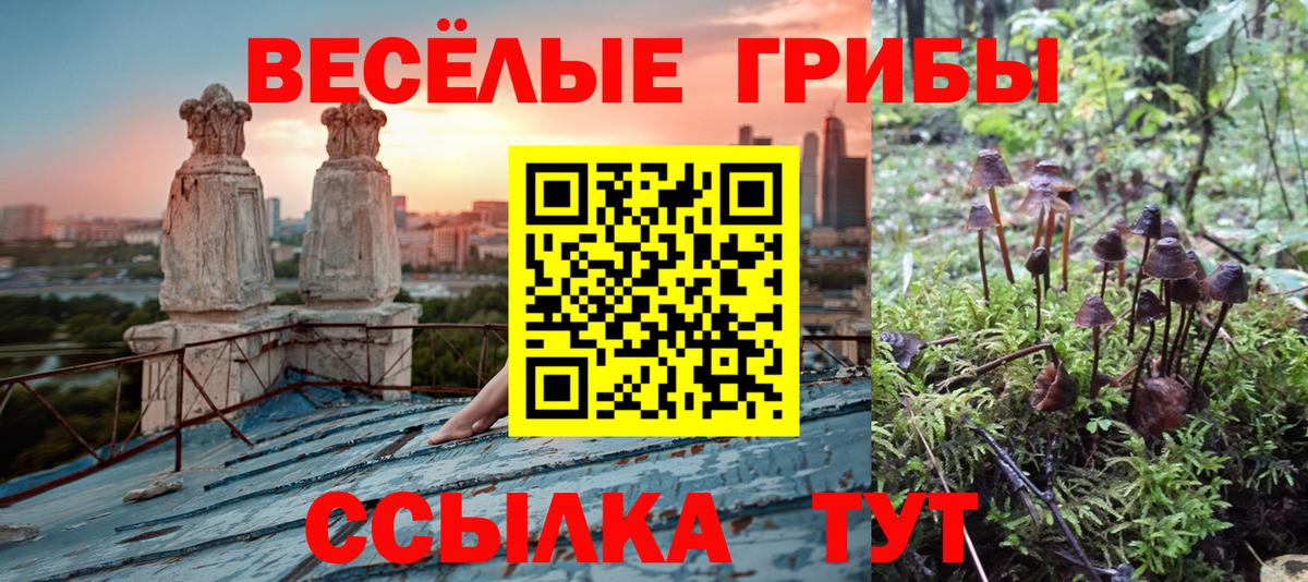 Нововоронеж  Псилоцибиновые грибы Psilocybine cubensis  Вход с VPN  Псилоцибиновые грибы Cubensis 